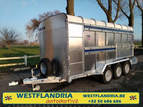 Veetrailer/3500kg/3as/426*183cm/tussenschotten, Dieren en Toebehoren, Schapen, Geiten en Varkens