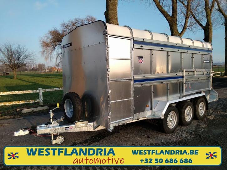 Veetrailer/3500kg/3as/426*183cm/tussenschotten, Dieren en Toebehoren, Schapen, Geiten en Varkens