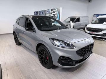 Ford Kuga ST-Line X PHEV AUT (bj 2023, automaat) beschikbaar voor biedingen