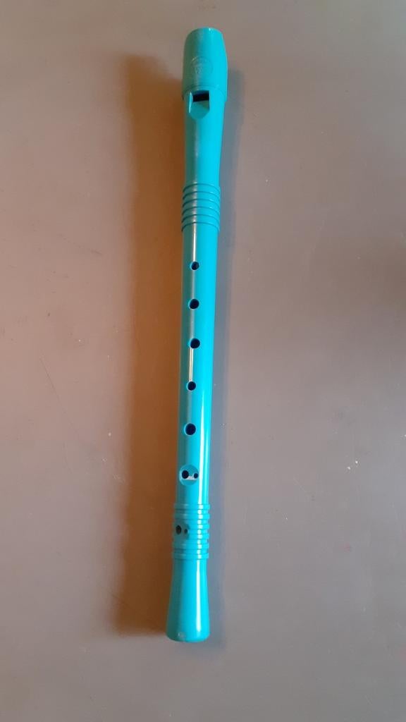 Flute bleu bontempi disney, Ophalen of Verzenden, Gebruikt