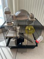 Cage à hamsters, Animaux & Accessoires, Enlèvement ou Envoi, Moins de 60 cm, Cage, Moins de 75 cm