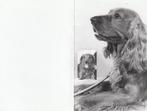 Helena Ruedisueli met hond 1912-2002, Collections, Images pieuses & Faire-part, Enlèvement ou Envoi