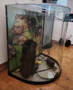 Aqua 60l tetra halfmoon in perfecte staat, met filter, Ophalen