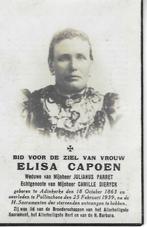 RP Elisa Capoen 1863-1939 Pollinckhove