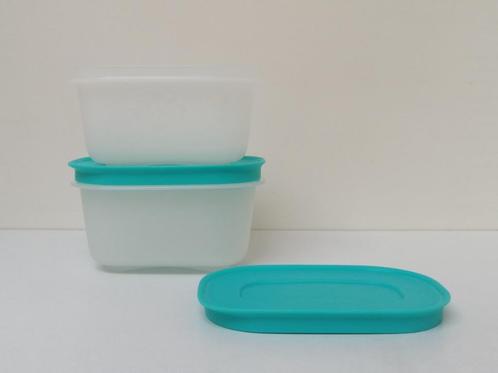 Tupperware Boite « Igloo » Surgélation - 170 ml - Promo, Maison & Meubles, Cuisine| Tupperware, Neuf, Boîte, Bleu, Vert, Blanc