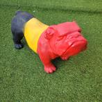 Hond Belgische kleuren 30 euro, Tuin en Terras, Ophalen, Zo goed als nieuw