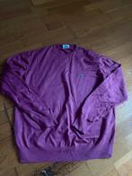 Pull lacoste jamais porté taille M, Kleding | Heren, Truien en Vesten, Maat 48/50 (M), Lacoste, Paars, Ophalen of Verzenden