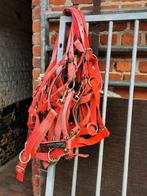 Nieuwe halsters, Dieren en Toebehoren, Ophalen, Zo goed als nieuw