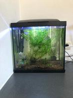 SuperFish aquarium 25L, Dieren en Toebehoren, Ophalen, Gebruikt