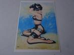 pin-up, Boeken, Ophalen of Verzenden, Nieuw
