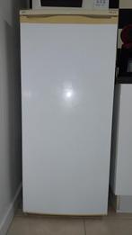 Frigo + congélateur Proline, Elektronische apparatuur, Vriezers en Diepvrieskisten, Ophalen, Zo goed als nieuw, Vrieskast