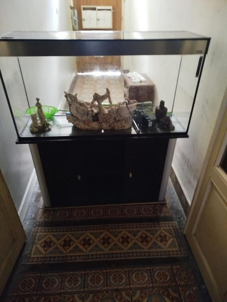 À vendre : Aquarium 23L avec étagère – 150€, Animaux & Accessoires, Poissons | Aquariums & Accessoires, Utilisé, Aquarium vide