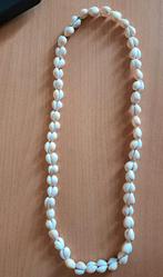 Halsketting met cauris/zeeschelp, Ophalen of Verzenden, Zo goed als nieuw, Beige, Steen of Mineraal