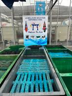 Filtre de basdin, Jardin & Terrasse, Étangs, Enlèvement, Comme neuf