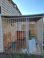 Hondenhok / hondenren, Ophalen, 100 cm of meer, Hondenhok, 110 cm of meer