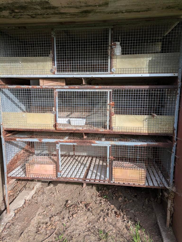 Hokken voor kleine dieren, Dieren en Toebehoren, Ophalen