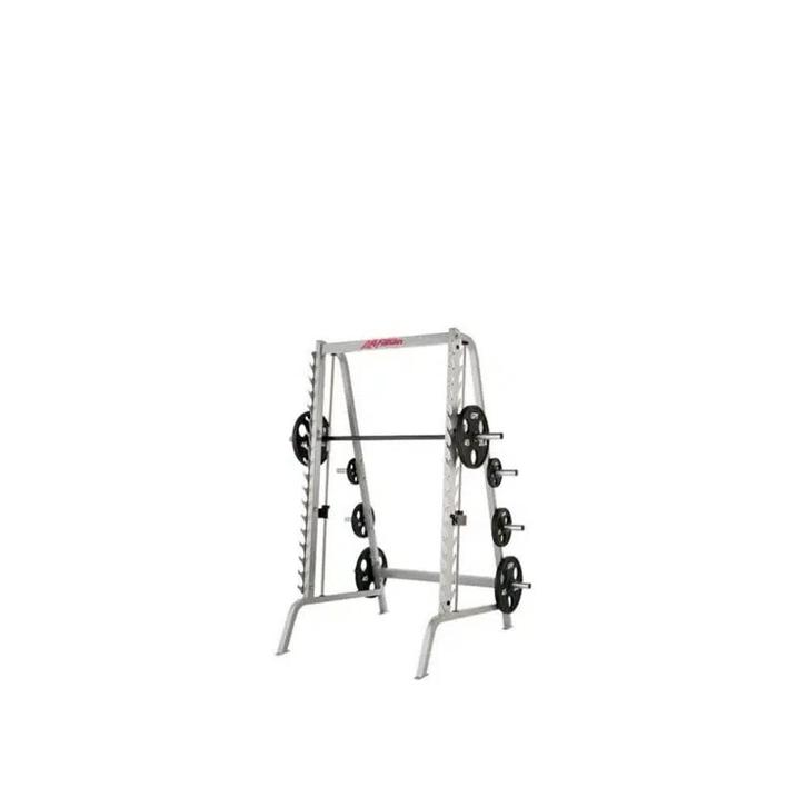 Life Fitness – Fit Series – Dual Smith – Smith Machine, Sport en Fitness, Fitnessmaterialen, Zo goed als nieuw, Overige typen