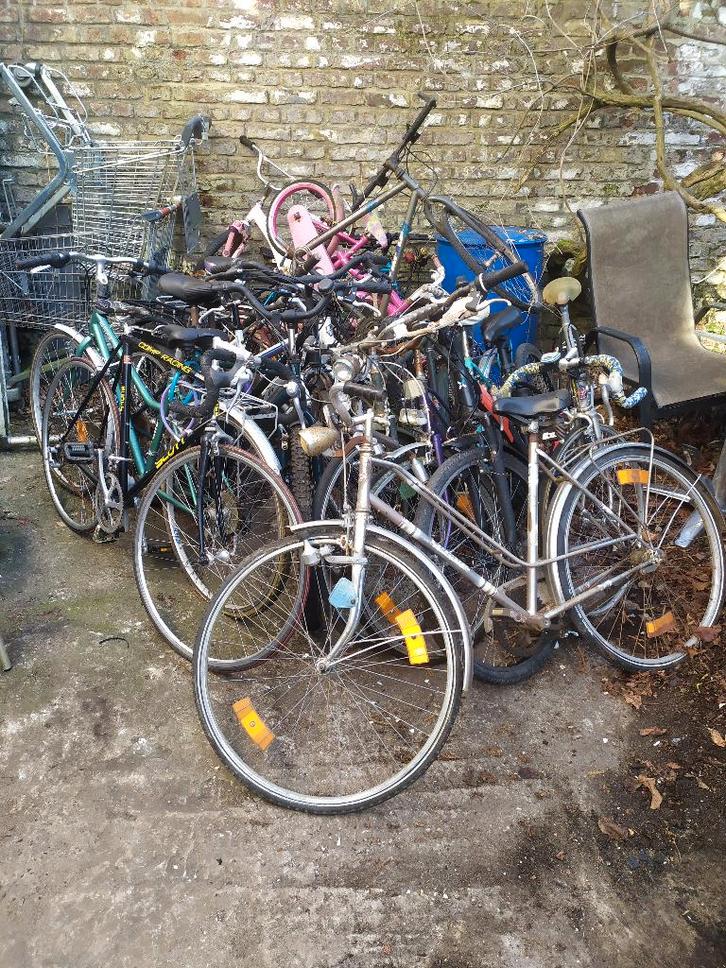 Lot 20 vélos, Vélos & Vélomoteurs, Vélos | Ancêtres & Oldtimers, Enlèvement