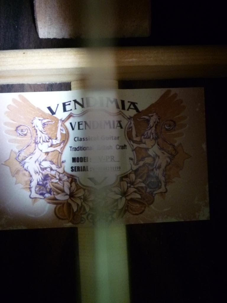 Gitaar, Muziek en Instrumenten, Ophalen of Verzenden, Nieuw