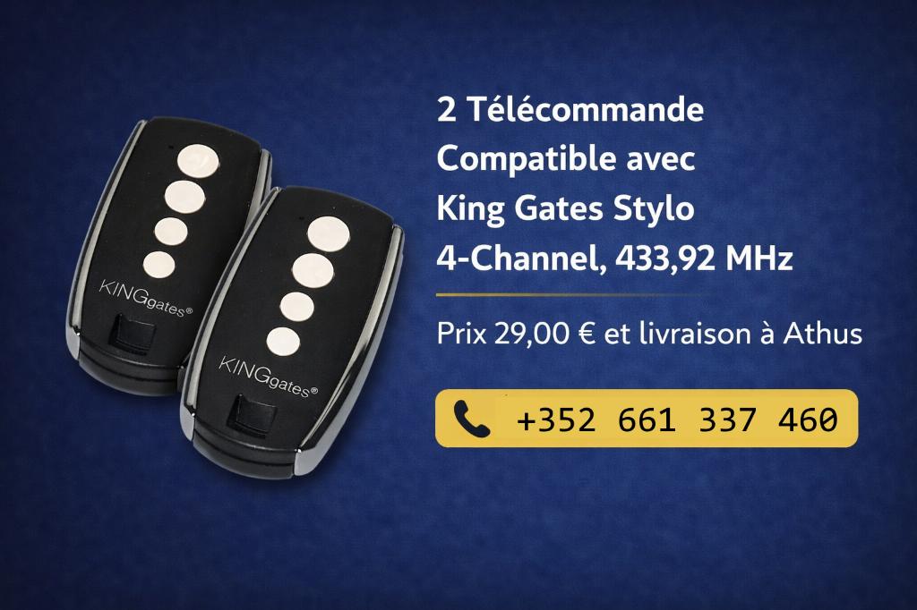 1 - Telecomande porte de garage