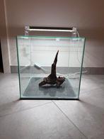 Superfish aquascape aquarium 30l, Ophalen, Zo goed als nieuw