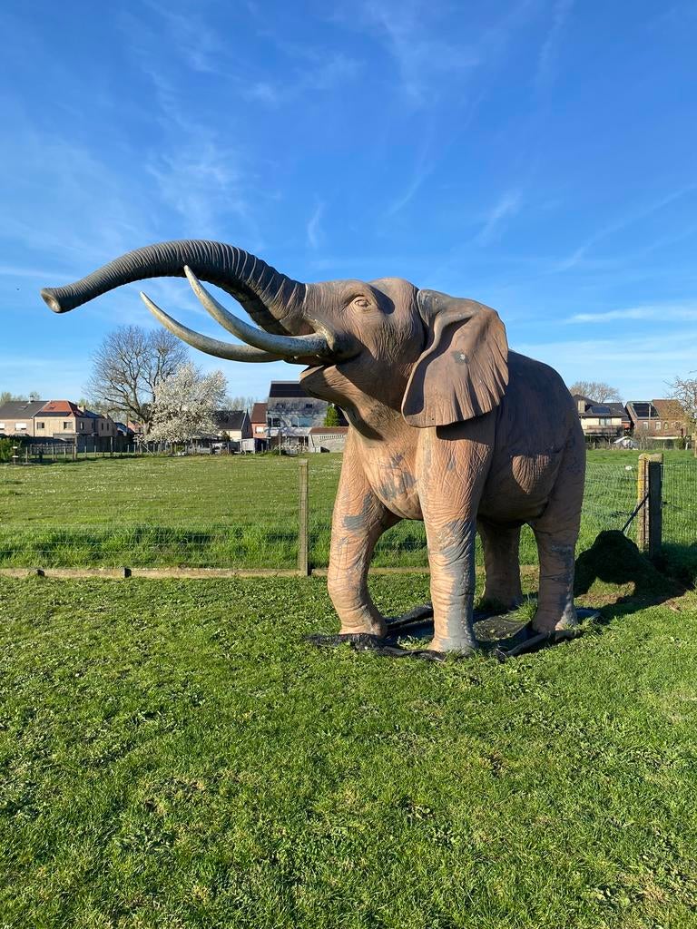 ***Gereserveerd*** Olifant beeld polyester - uniek stuk!, Ophalen, Gebruikt, Overige materialen, Dierenbeeld