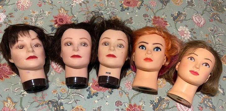 Professionele oefenhoofden, Hobby & Loisirs créatifs, Matériel scolaire, Utilisé, Enlèvement