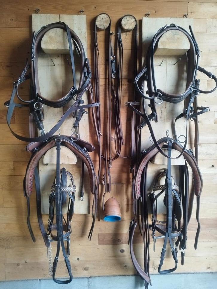 Men tuig dubbelspan cob maat uitstekende staat., Dieren en Toebehoren, Paarden en Pony's | Hoofdstellen en Tuigage, Ophalen