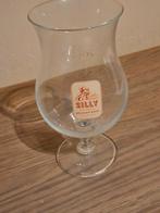 bierglas van de Belgische brouwerij Brasserie de Silly., Verzamelen, Glas en Drinkglazen, Ophalen of Verzenden, Zo goed als nieuw