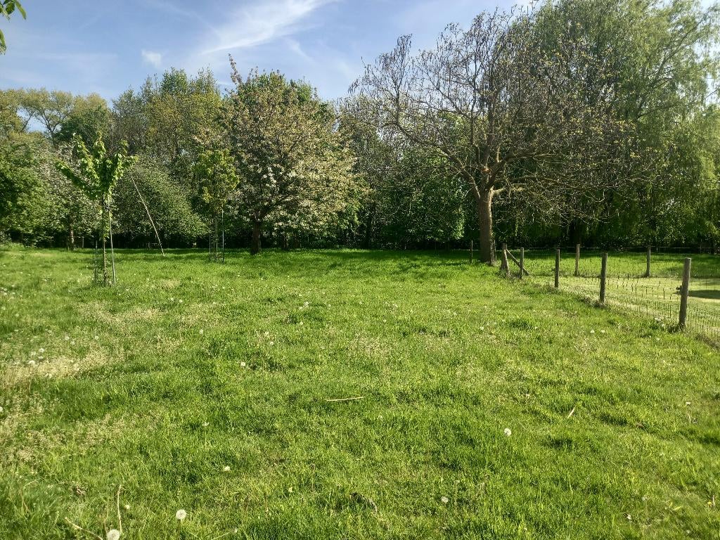 weide voor schapen Grammene Deinze 400 are, Dieren en Toebehoren, Stalling en Weidegang, Weidegang