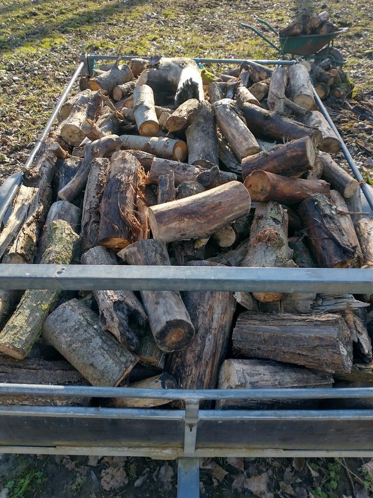 Te koop brandhout kana wilg afhalen 55€ de kub de, Ophalen