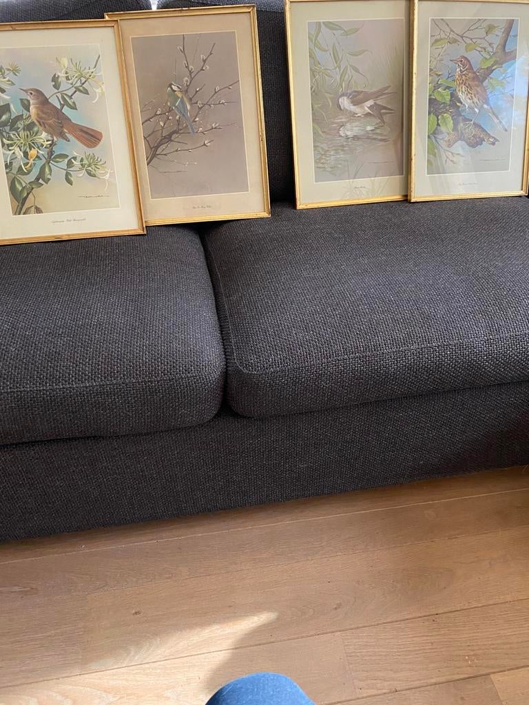 Reproducties van vogels - Basil Ede - €10/stuk., Ophalen