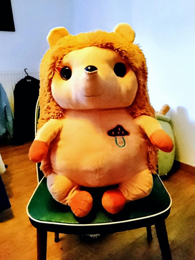 Peluche Hérisson Kawaii avec Champignon Brodé, Enlèvement