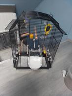 cage à oiseau pour canari H 65cm L 45cm P 28cm, accessoires, Animaux & Accessoires, Enlèvement, Comme neuf, Autres types