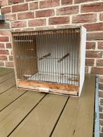 VOGELKOOI VOOR KANARIE-PARKIET NU 15 EURO, Dieren en Toebehoren, Ophalen, Zo goed als nieuw, Hout, Vogelkooi