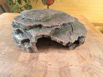  terrarium beschikbaar voor biedingen