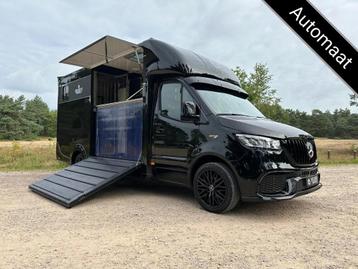 Mercedes-Benz Sprinter 319 AMG 2-paards paardenvrachtwagen B