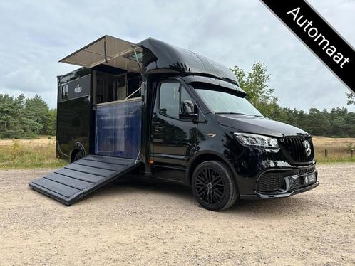 Mercedes-Benz Sprinter 319 AMG 2-paards paardenvrachtwagen B, Animaux & Accessoires, Chevaux & Poneys | Semi-remorques & Remorques