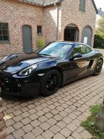 PORSCHE CAYMAN 981, Autos, Cuir, Achat, 2 places, Carnet d'entretien