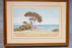 Harold Boyes, landschap aquarel, Antiek en Kunst, Kunst | Schilderijen | Klassiek, Ophalen of Verzenden