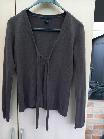 dames gilet, Kleding | Dames, Maat 38/40 (M), H&M, Bruin, Ophalen of Verzenden