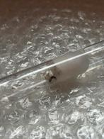 Pheidole pallidula 1q 10-25 werkster, Dieren en Toebehoren, Insecten en Spinnen