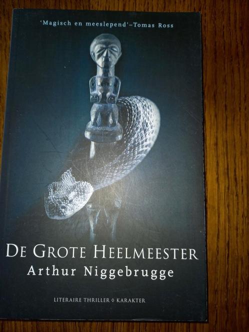 Arthur Niggebrugge - De grote heelmeester, Livres, Thrillers, Utilisé, Enlèvement ou Envoi