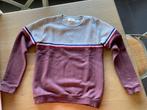 Sweater Simple kids 152 prima staat, Kinderen en Baby's, Jongen of Meisje, Ophalen of Verzenden, Zo goed als nieuw, Simple kids
