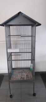 Grote vogelkooi, Dieren en Toebehoren, Vogels | Hokken en Kooien, Ophalen, Vogelkooi