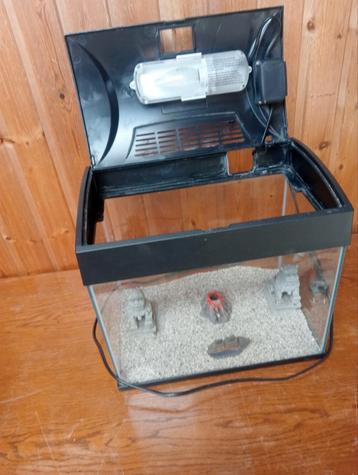 Aquariums te koop 20 a 25 l vissen met decoratie en stenen beschikbaar voor biedingen