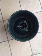 Pied de sapin, Divers, Enlèvement, Comme neuf