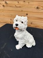 Hond beton, Verzamelen, Ophalen of Verzenden, Zo goed als nieuw