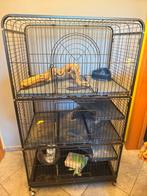 Grande Cage pour chinchilla avec matériel et nourriture, Ophalen, Kooi, Zo goed als nieuw, Hamster