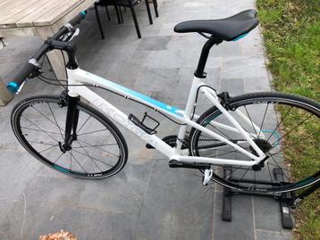 Koga Sportslady maat 53 beschikbaar voor biedingen